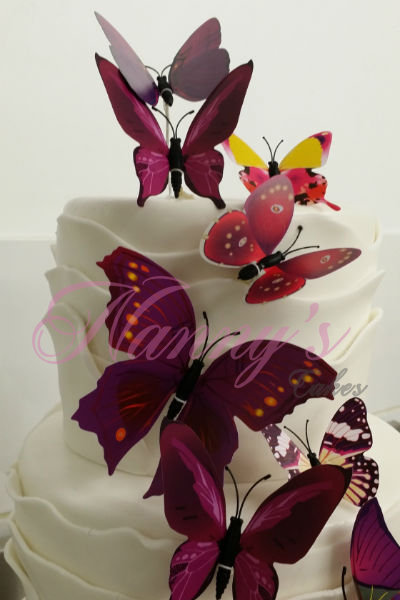 Gâteau Papillons
